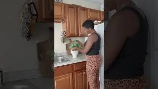 My 1st love,  home decorating, Let's do a simple kitchen counter styling. #shortsvideo #homestyling