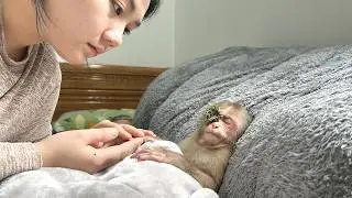 Lala has a swollen eye! Mom is worried and looks for the cause and treatment for her