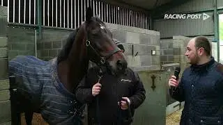 Gordon Elliott on Apple's Jade