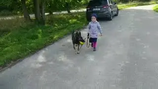 Encouraging positive interactions between children and dogs