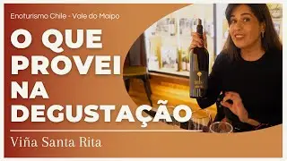 Degusta&ccedil;&atilde;o PREMIUM na Vi&ntilde;a Santa Rita (Vale do Maipo, Chile): r&oacute;tulos que provei 🍷