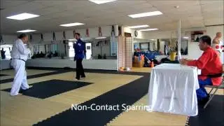 Purple Belt Test for TaeKwonDo