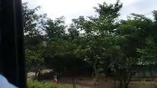 Fantastic mericel of nature,in sylhet  mp4