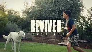 Revive Your Lawn Not your typical landscape designer