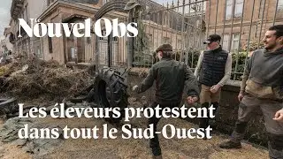Dermatose nodulaire : des agriculteurs remont&eacute;s multiplient les actions dans le Sud-Ouest