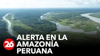 Per&uacute; perdi&oacute; casi 140.000 hect&aacute;reas de bosques amaz&oacute;nicos en 2021