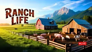 it's time to start building new business | Ranch Simulator🐖🐄🐮| Part 4 ✨🛑🛑 #gaming #ranchsimulator