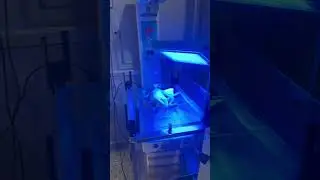 NICU, new born baby care in NICU, phototherapy of new born baby in NICU,CPAP  in NICU, New Born Baby