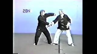 Tracy Kenpo Karate 2nd Brown Belt Cobra and the Mongoose.