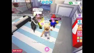 MEETING PROTON PLAYS
