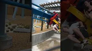 Would you ride the ALL NEW PHOENIX RISING at Busch Gardens. #themepark #buschgardens #rollercoaster