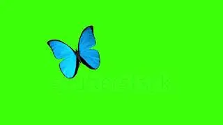 Morpho Menelaus Blue Butterfly Flying on a Green Background. Beautiful 3d animation wit - 1009685840