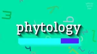How to say 