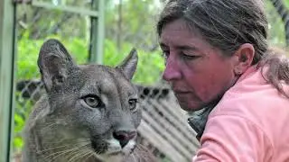 Kai Pacha, protectora de pumas | Cadena 3 Argentina