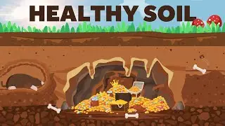 The Benefits of Healthy Soil. How Soil Properties Affect Agriculture?
