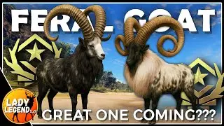 Will FERAL GOATS Be the NEW GREAT ONE?!? - Call of the Wild