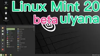 Linux Mint 20 beta ulyana - Live Boot