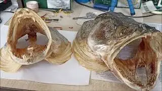 Трофей 