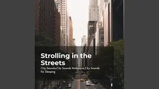 Busy Vibrant Area