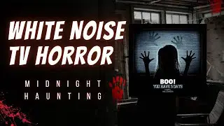 Scary True Stories | White Noise TV Horror  Midnight Haunting #20