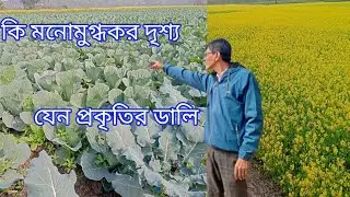 নুনগোদার নদীর বুকে শরিষা ফুল আর অজস্র টাটকা শব্জী,সঙ্গে মনোরম দৃশ্য ও ফুলের সুবাসে ভরা।
