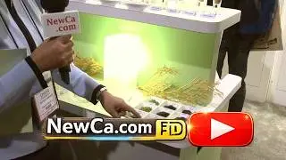 ☕ AOI Matcha Teas  at the Canadian Coffee & Tea Show 2010 (HD)