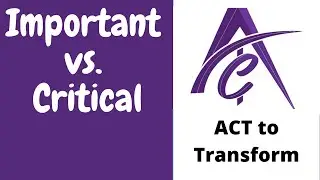 How to focus on important things? Important vs  Critical | ACT To Transform