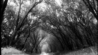 Black Metal / Shoegaze Compilation