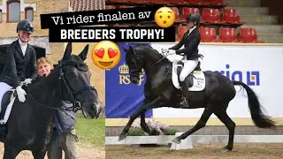 En dröm går i uppfyllelse...😍😭  |   ✨Breeders Trophy 2020✨