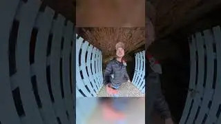 Лапы и прошлое: Путешествие по Ирландии с моей лучшей подругой #автопутешествие