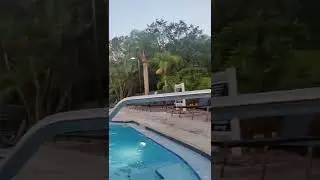 Community pool in Florida, USA