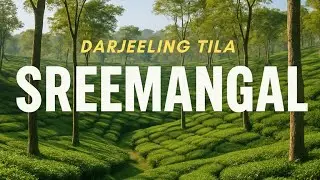 Darjeeling Tila | Stunning Sreemangal Sylhet Drone Footage in 4K / দার্জিলিং টিলা, শ্রীমঙ্গল সিলেট