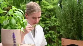 The Green Lab Co. Handzeep Tabletten Rozemarijn