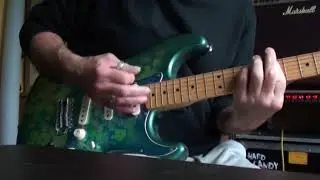 Fender Blue Flower Stratocaster demo by Rastapoupajami
