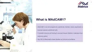 The target of Mucosal addressin cell adhesion molecule 1 MAdCAM1