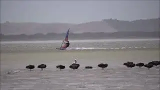 GPS Speed Sailing