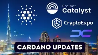 Kaizen Website Launch! Catalyst Updates, Crypto Expo Dubai, ADA Price Volatility