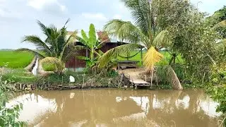 Độc Lạ Vùng Quê Hoang Vắng, Ngôi Nhà Cô Lập Bên Kia Sông
