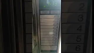 Effect on boiled egg reheating in microwave
