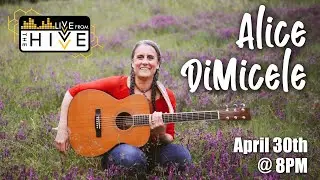 Alice DiMicele :: Livve from The Hivve