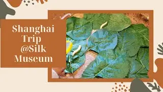 Silk Museum Tour @Shanghai, China // Jmiel //