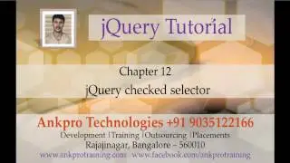 jQuery 12 - Selectors - checked selector