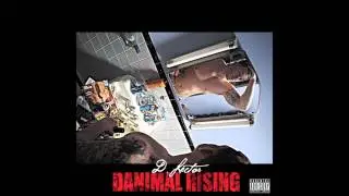 Danimal Lector - Same Boat