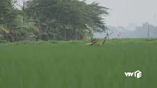 Nostop Focck You Của Đỗ Duy Nam Cực Hay