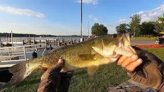 Testing the Bruiser Baits Super Swimmer