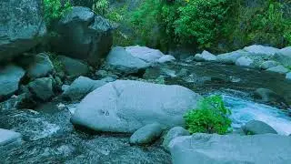 The Sound of Emptiness and Fullness at Once | A River for Contemplation
