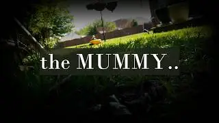 GI Joe and the Mummy