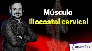 M&uacute;sculo Iliocostal Cervical | Jos&eacute; G&oacute;es