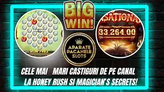 FULL PANEL AT HONEY RUSH AND TOTAL WINNINGS OF OVER 500 MILLION!