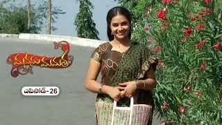 Manasu Mamata | 19th March 2025 | Full Episode 26 | ETV Plus